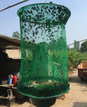 Reusable Hanging Netting Fly Trap with Removable Bait Basin In Use
