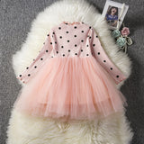 Baby Girls Spring Winter Long Sleeve Tutu Lace Dresses Infantil Newborn 1st Birthday Party Clothes Christening Gown Casual Wear