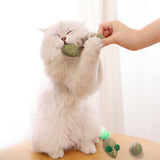 Pet Cat Toy Catnip Matte PolygonatumToy Fish Mouse Remove Hair Ball Chewing Toy