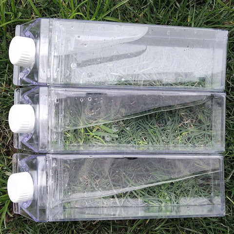 Pure Color Reusable Transparent Water Bottle
