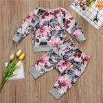 Set Autumn Style Baby Girl Clothing Sets Newborn Clothes Leisure Flower Printing Suitbaby Girl Clothes Sets