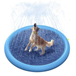 Golden Retriever dog on splash sprinkler pad