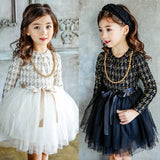 Autumn and winter children's clothing wholesale not down velvet princess dress girls long sleeve small fragrance style pettiskirt