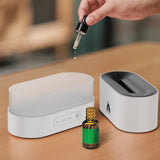 Small Compact Flame Display Humidifier White Refilling with Essential Oil