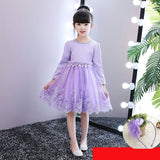 Plus velvet thick children dress