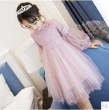 Girl dress, long sleeve princess dress, 2021 children dress, autumn dress Princess House, lace big child yarn skirt wholesale for children