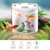Ecological acrylic fish tank